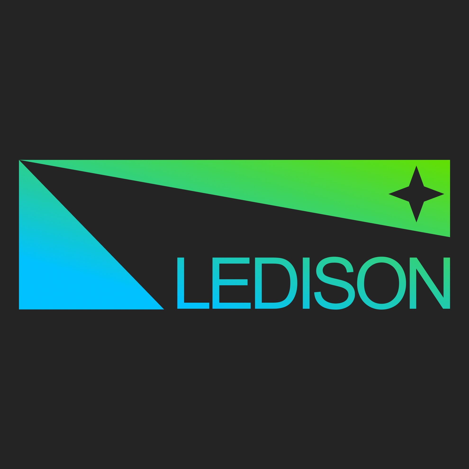 Ledison