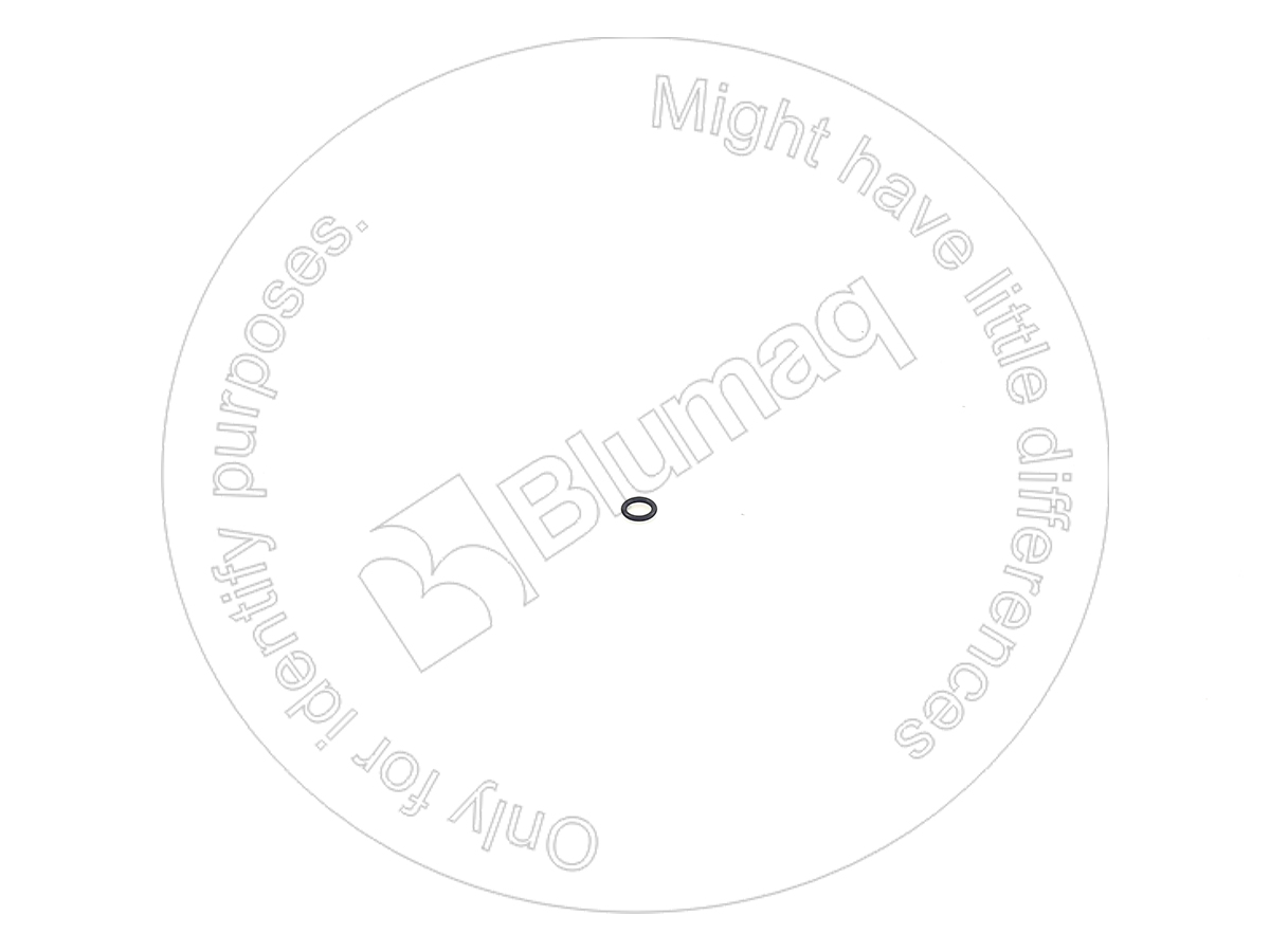 Кольцо уплотнительное Komatsu 0700002010ST