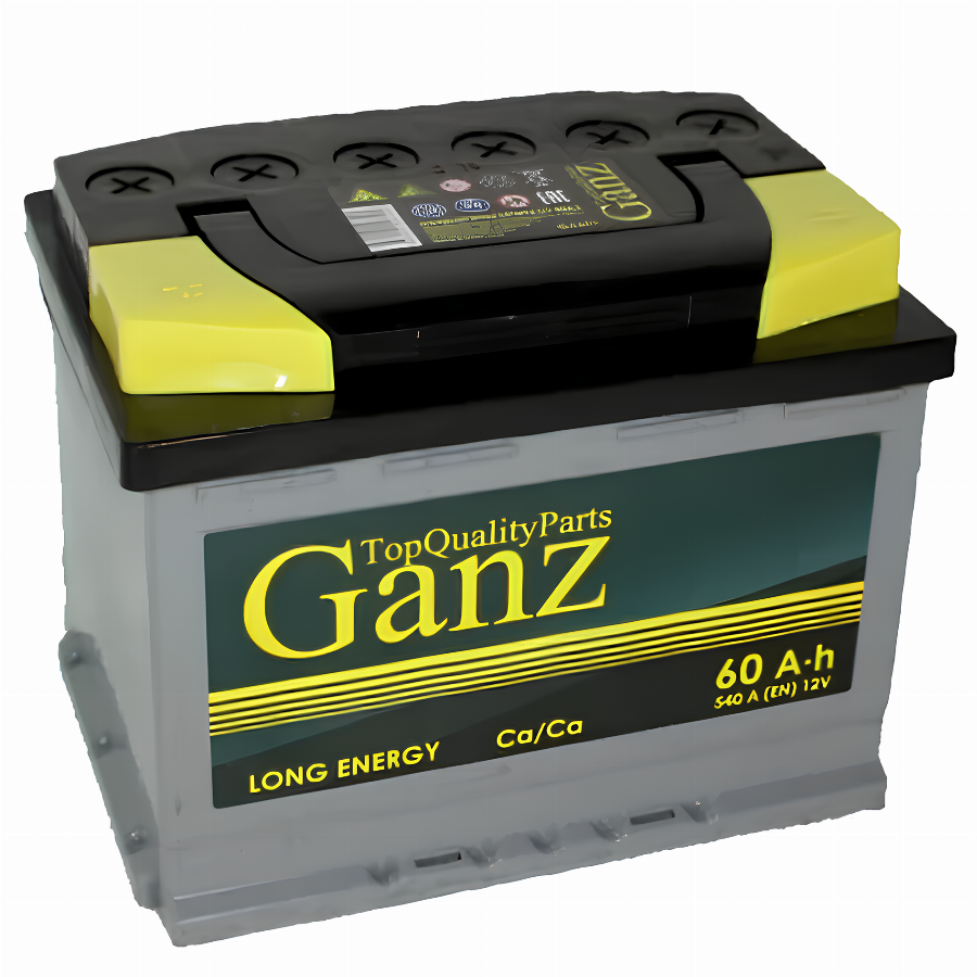 Аккумулятор 12V 60Ah 500A 242*175*190 ETN1 (пр) GANZ GANZ603L