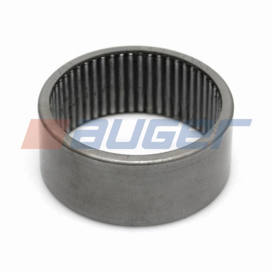 Подшипник шкворня 50*58*25 игольчатый Renault/MAN/MB/Shaanxi 54480