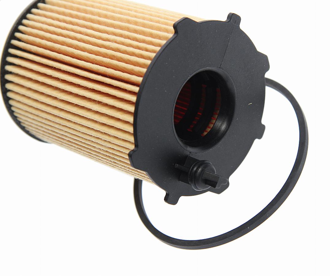 Фильтр масляный Citroen C3/Peugeot 206 1.4HDi02> 10023105