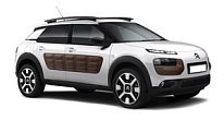 C4 CACTUS