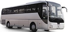 LION S COACH